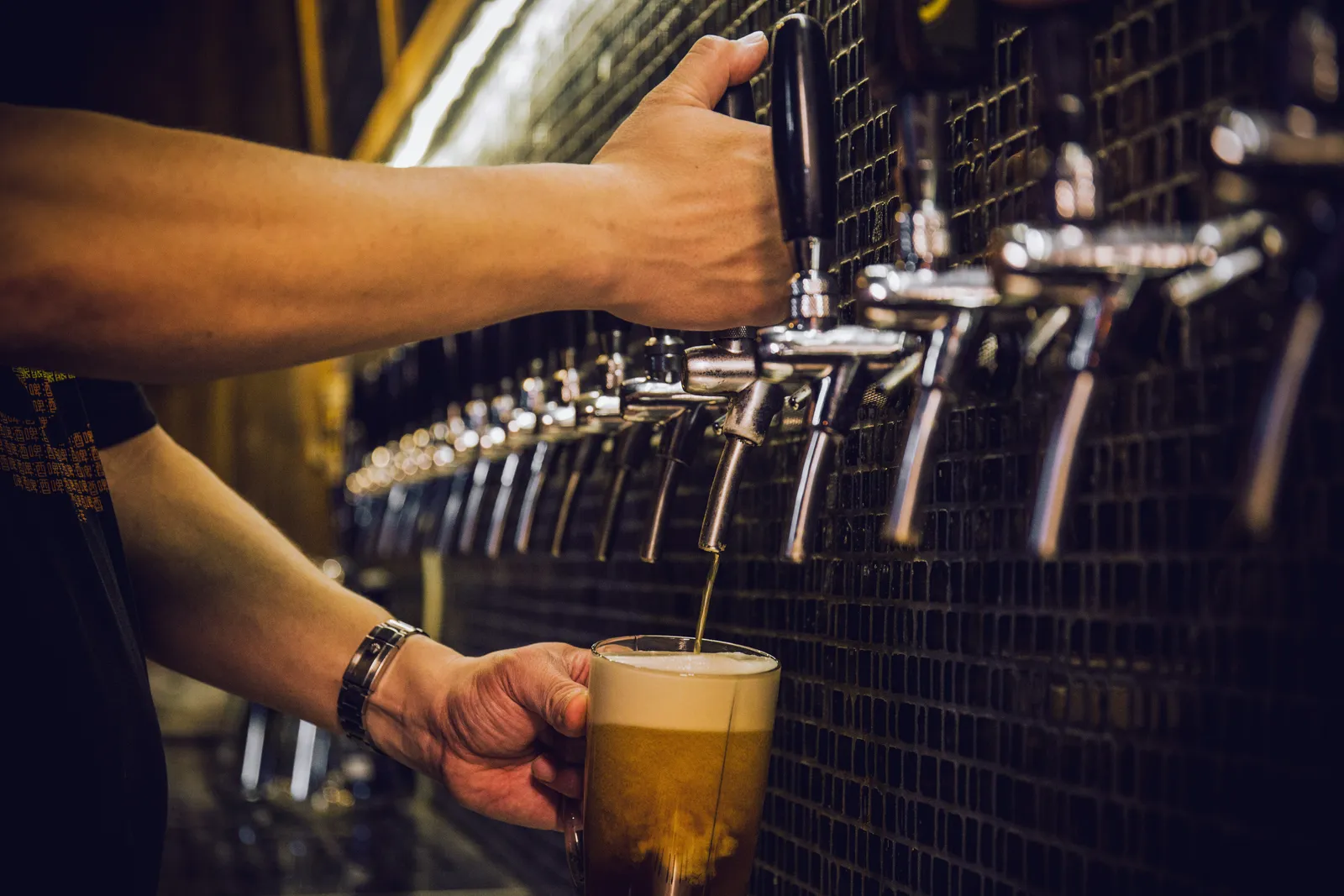 The Inner West Dog Friendly Brewery Trail