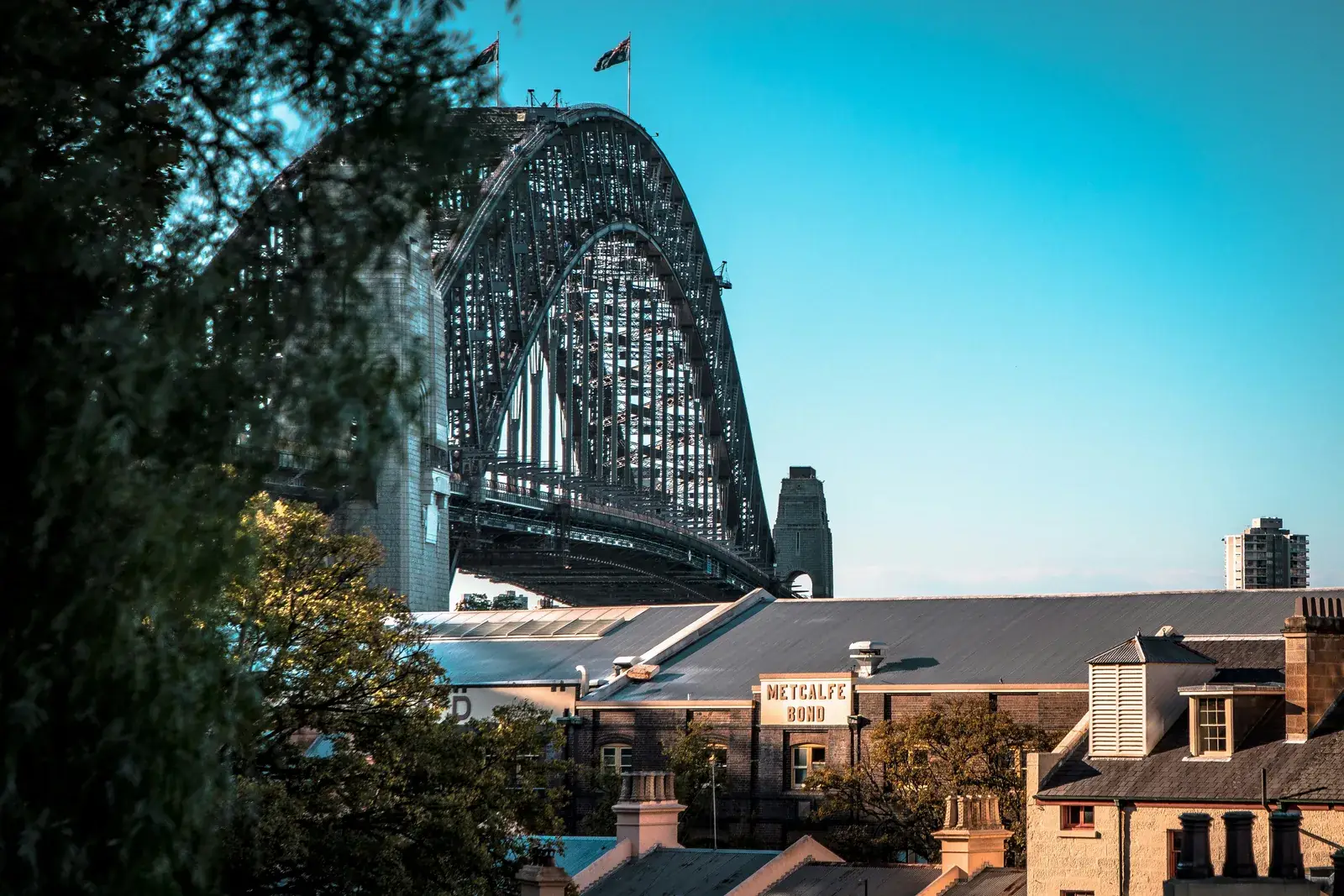 The Rocks Historic Pub Trail (Dog Friendly)